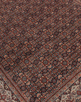Indo Bidjar 204 x 303cm