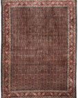 Bidjar 252 x 341 cm