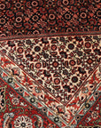 Bidjar 261 x 350 cm