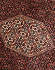 Bidjar 261 x 350 cm