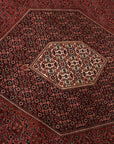Bidjar 261 x 350 cm