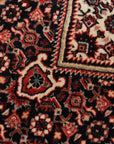 Bidjar 261 x 350 cm