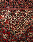 Bidjar 261 x 350 cm