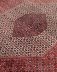 Bidjar 247 x 360 cm