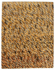 kashkouli