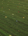 Darya kelim 202 x 284 cm