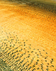 Khashkuli 250 x 300 cm