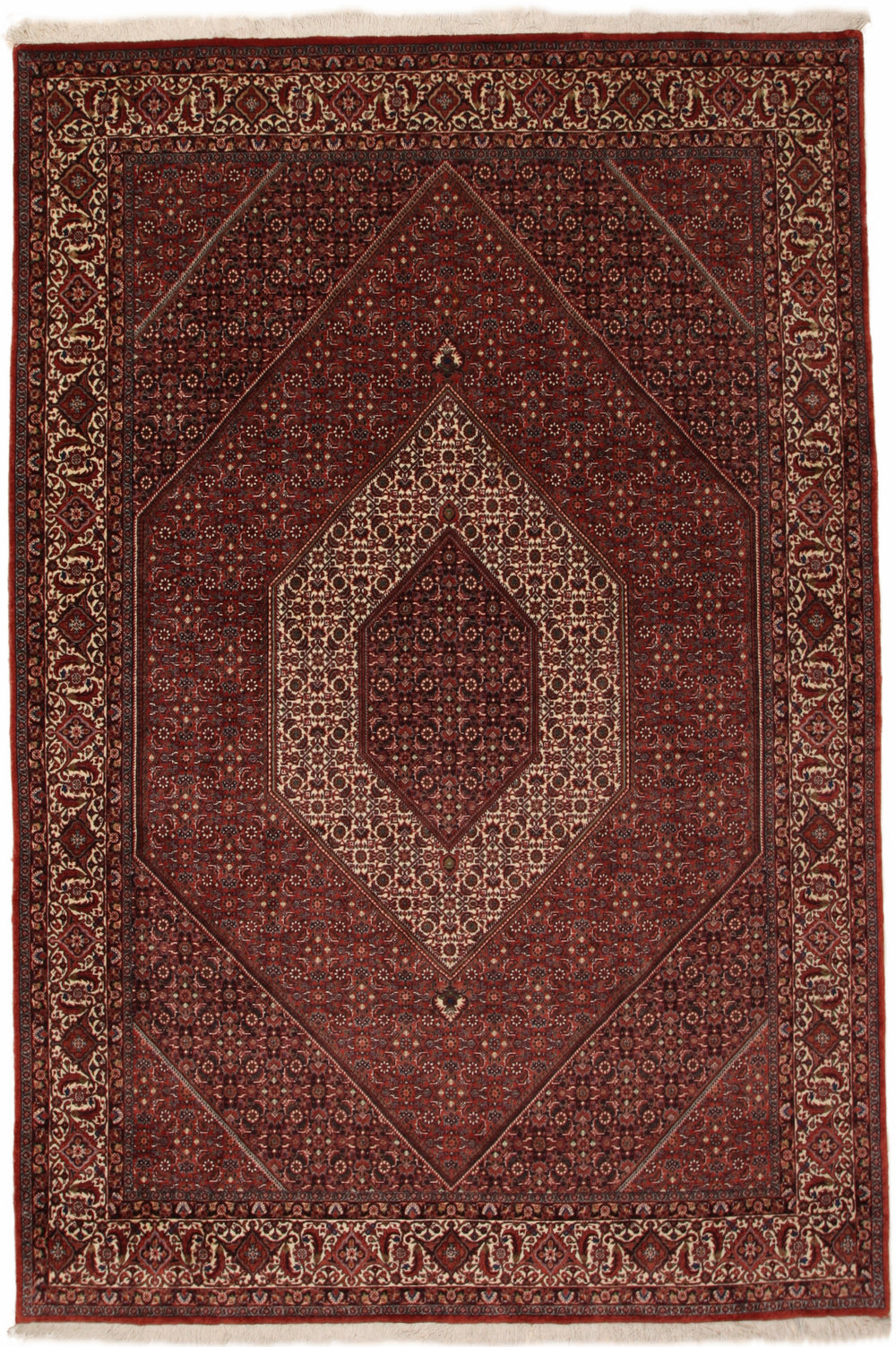 Bidjar 207 x 307 cm – volledig beeld