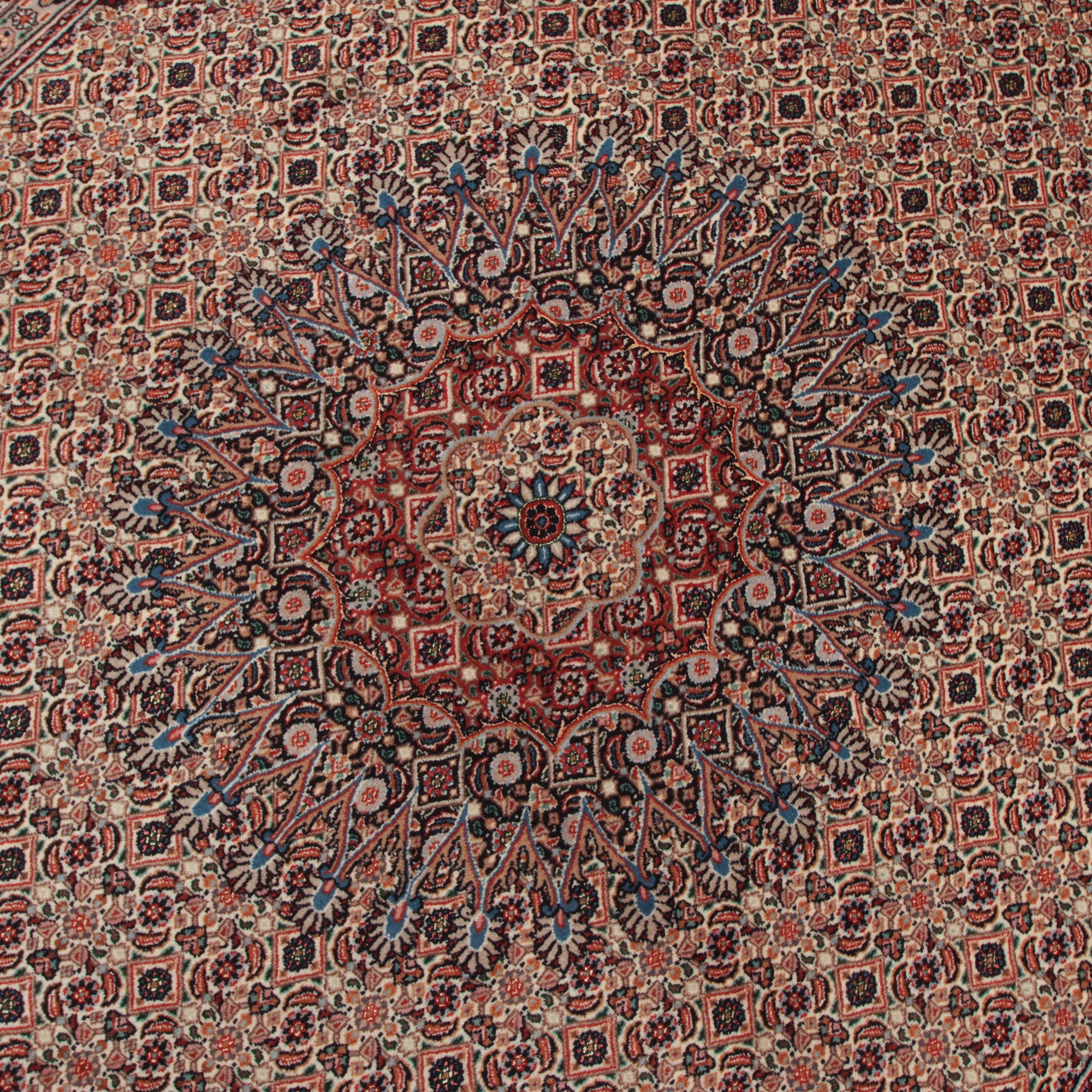 Moud  198 x 292cm