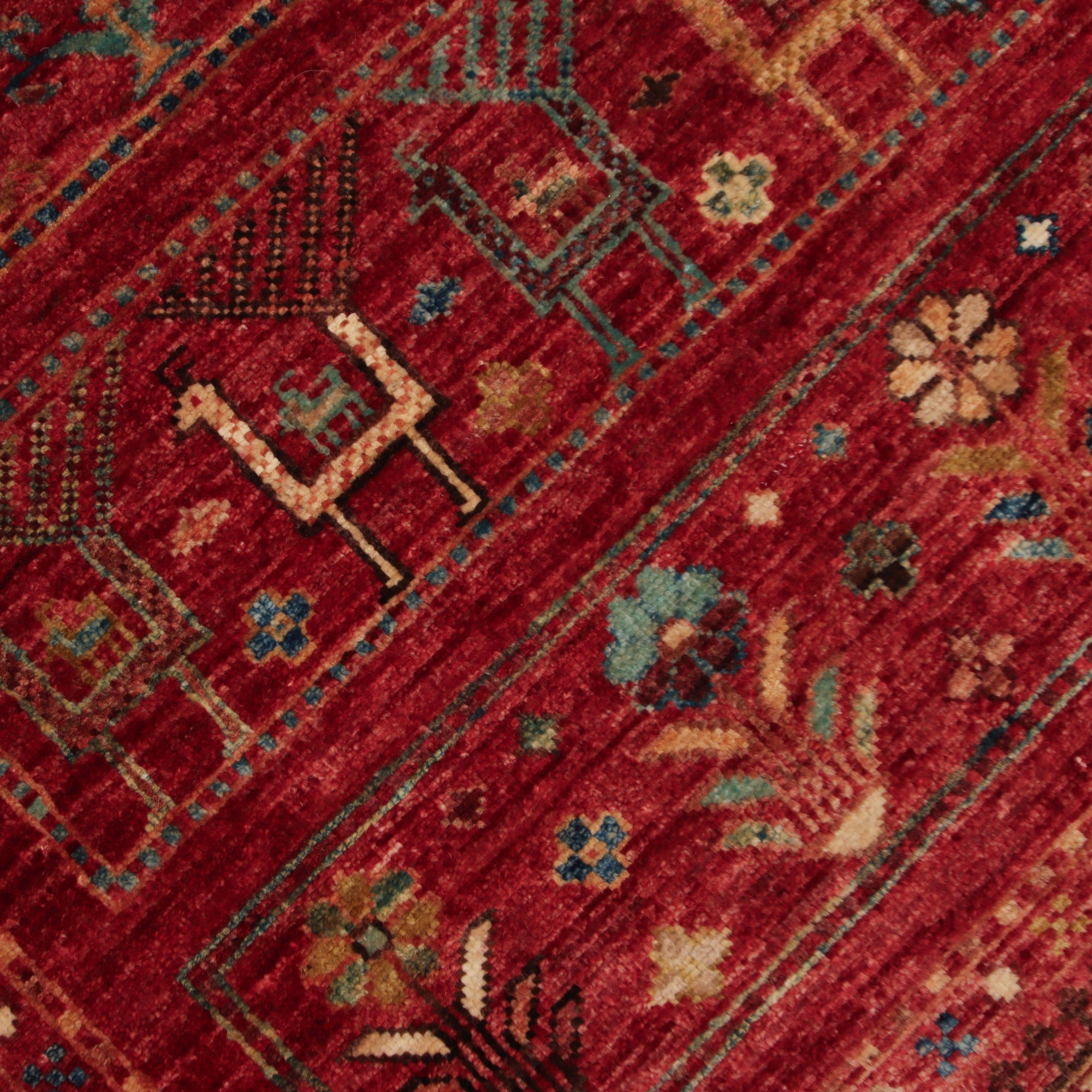 Shasavan 169 x 241cm