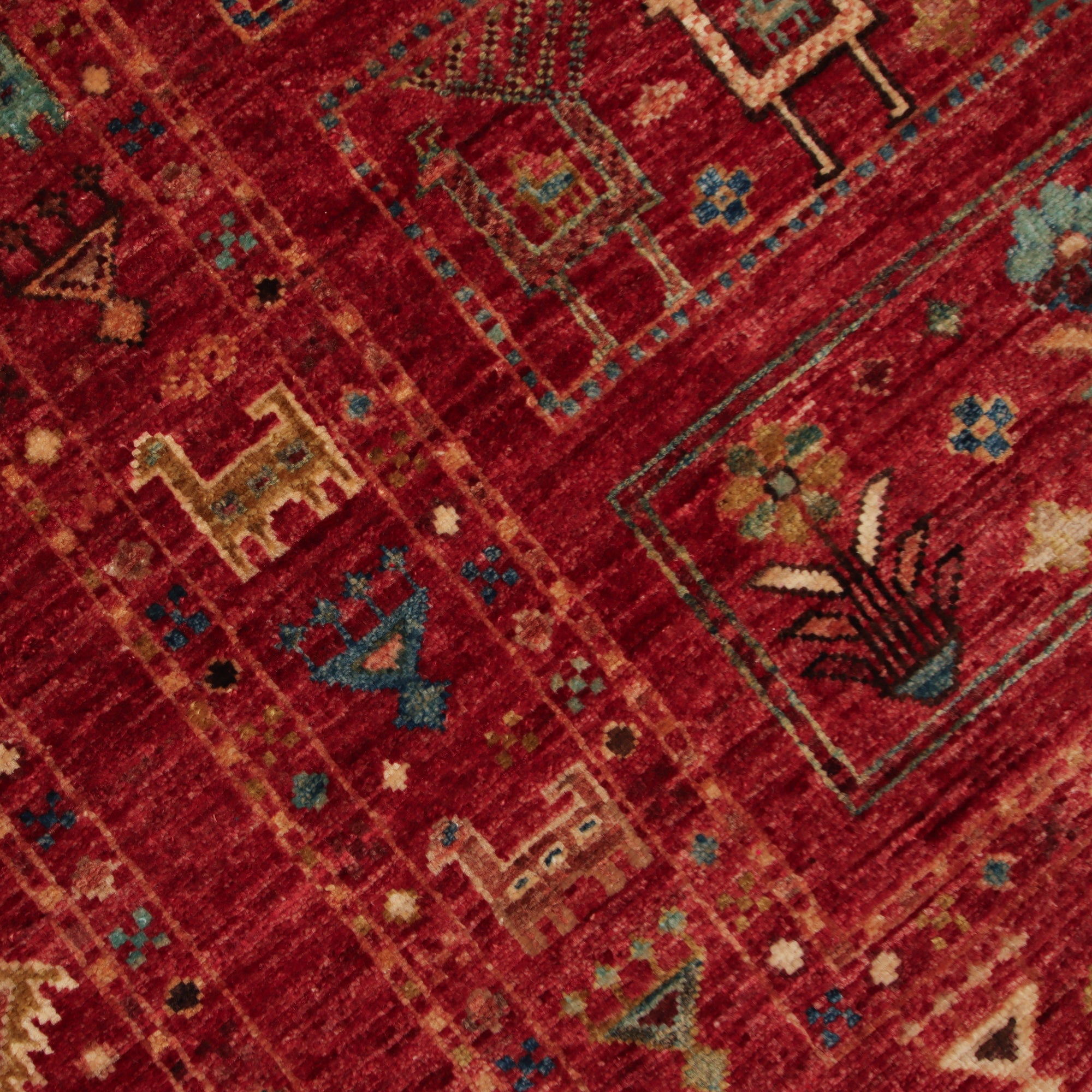 Shasavan 169 x 241cm