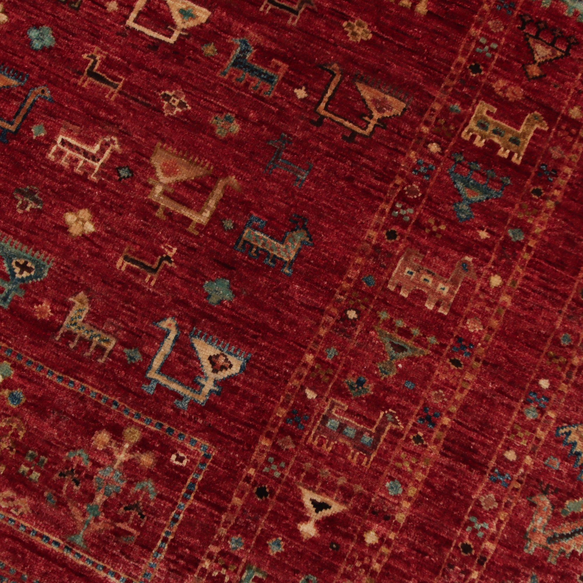 Shasavan 169 x 241cm