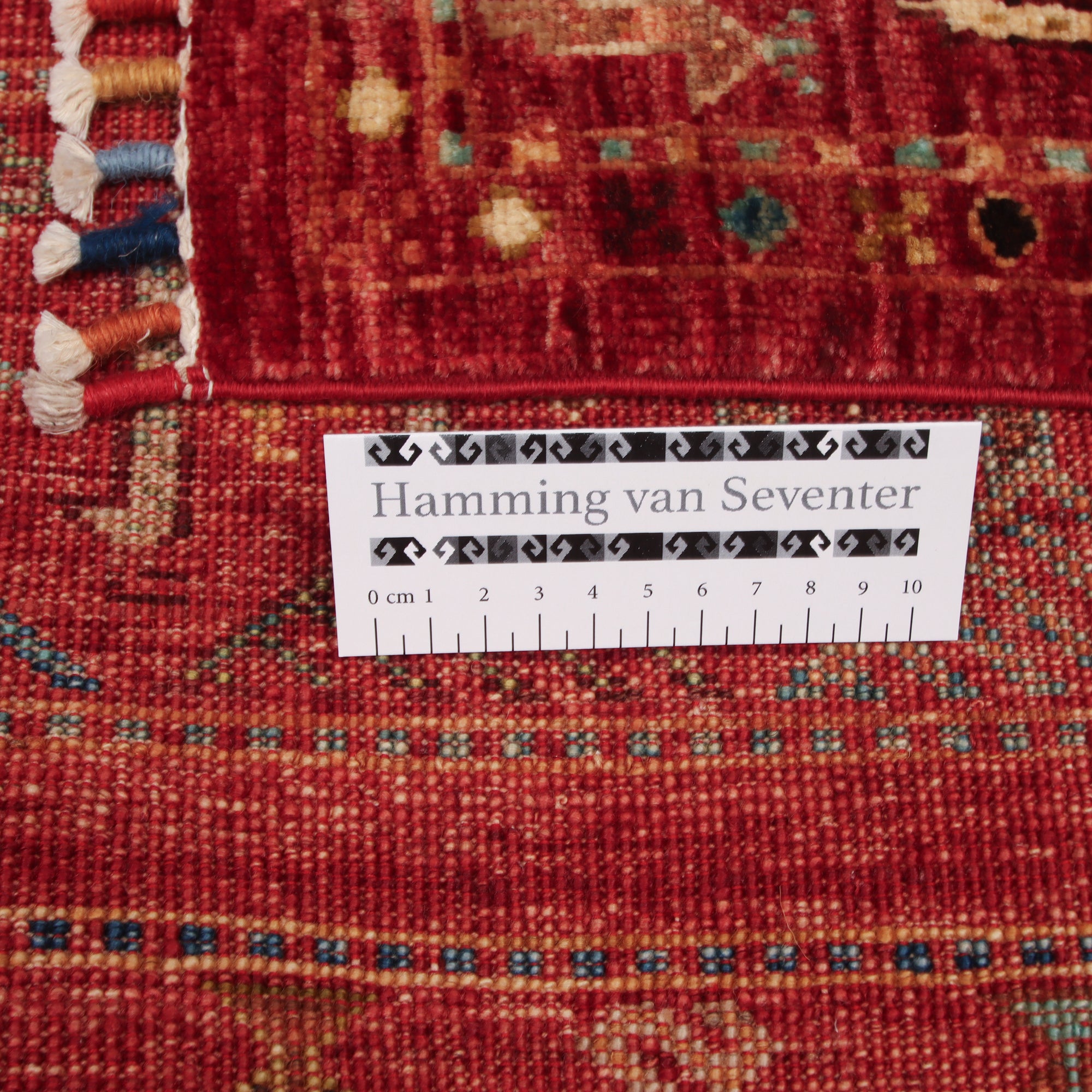 Shasavan 169 x 241cm