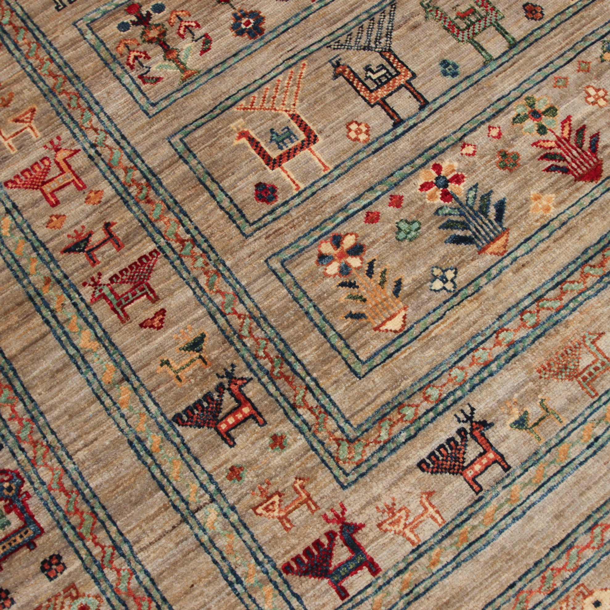 Shasavan  245 x 307 cm