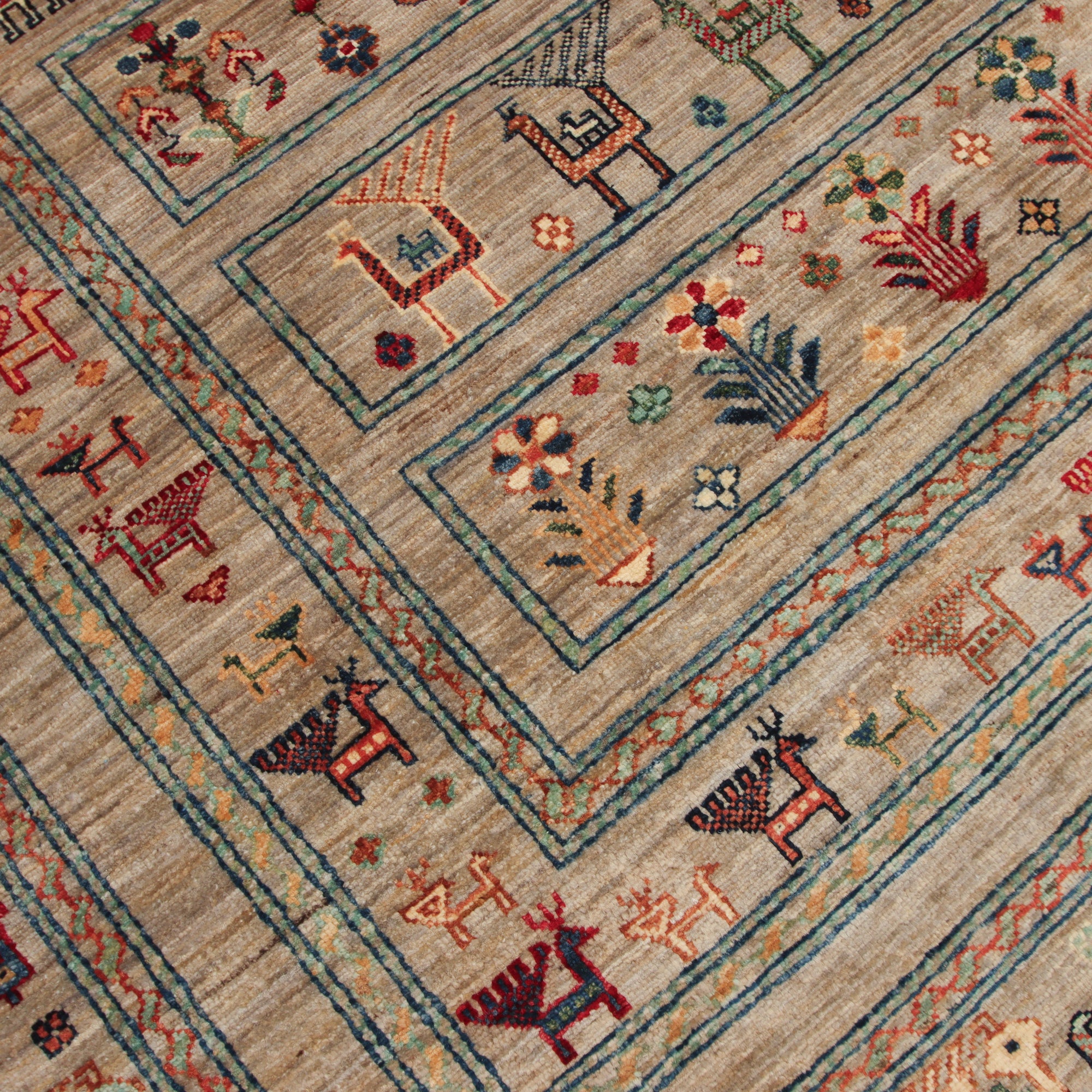 Shasavan  245 x 307 cm