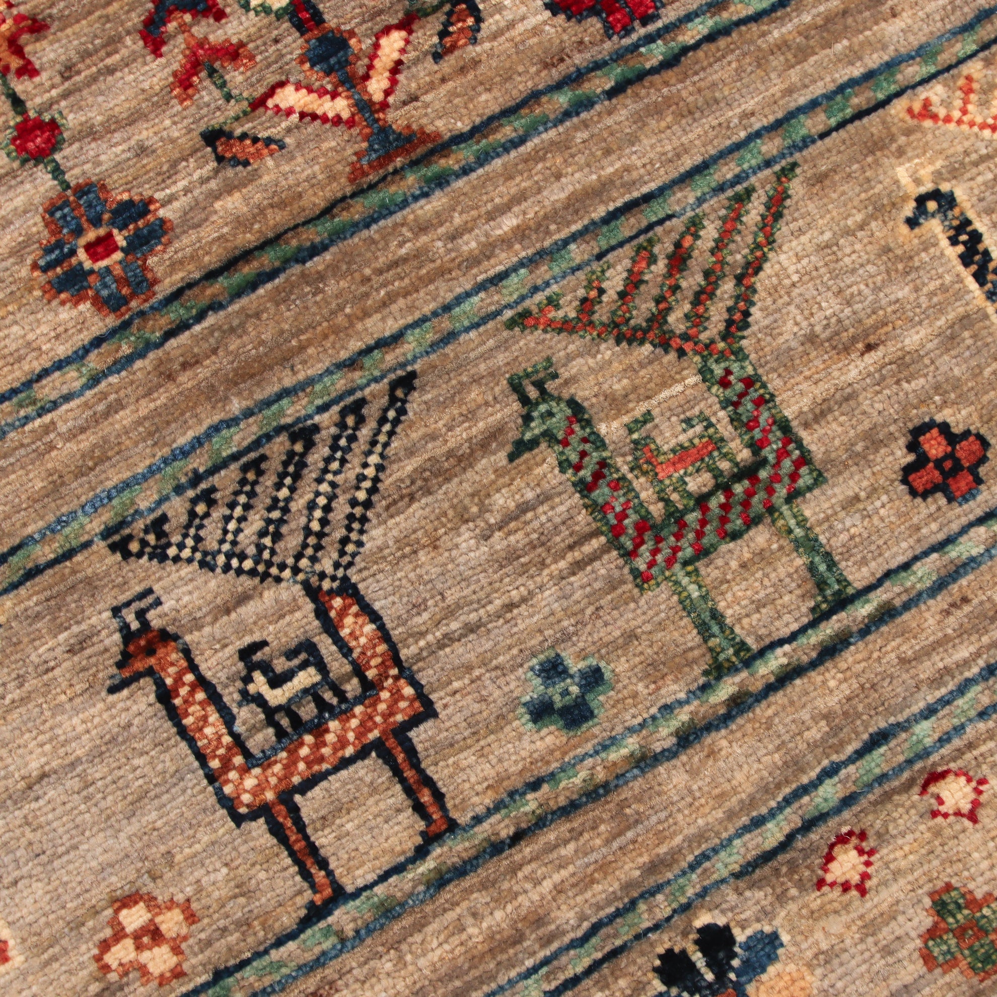 Shasavan  245 x 307 cm