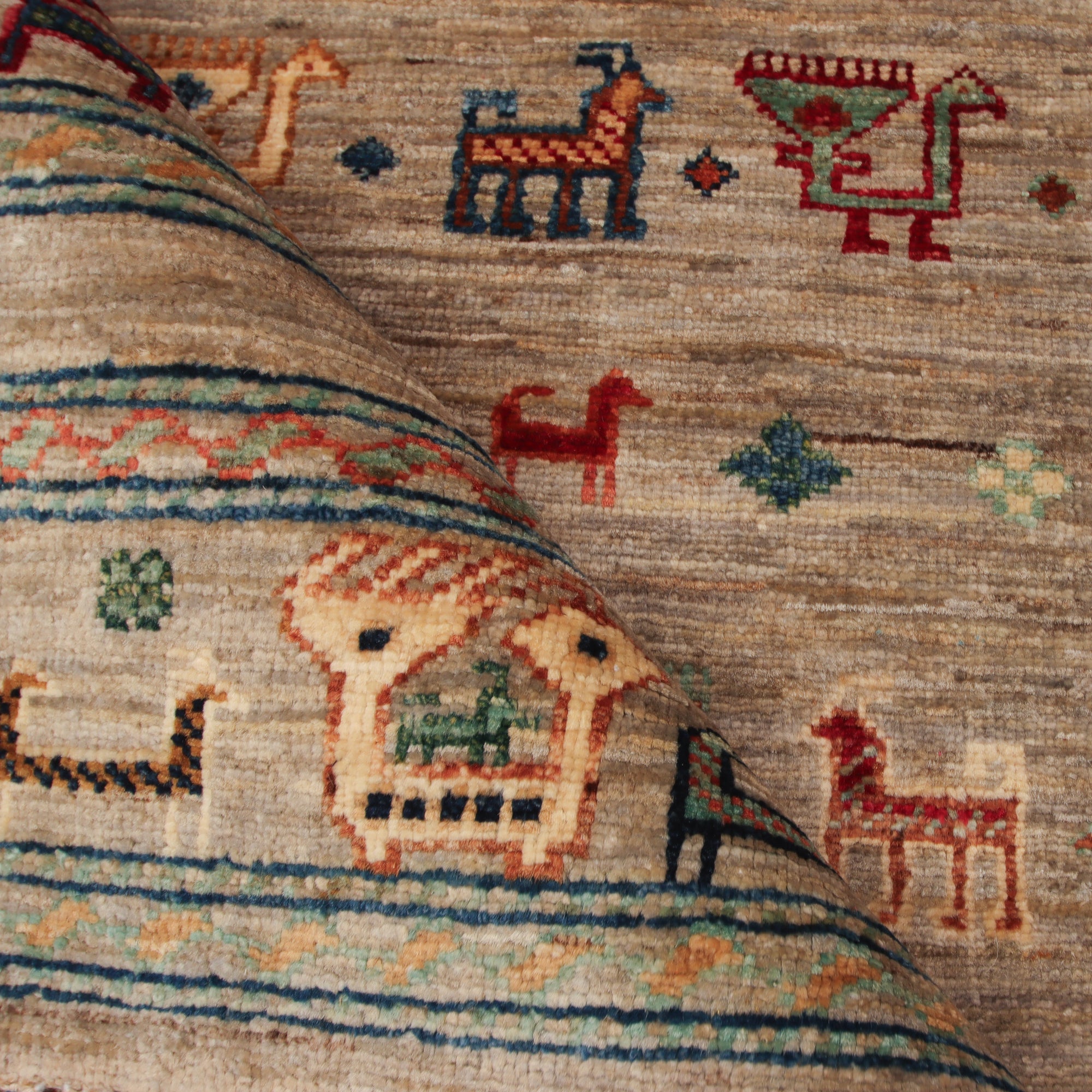 Shasavan  245 x 307 cm