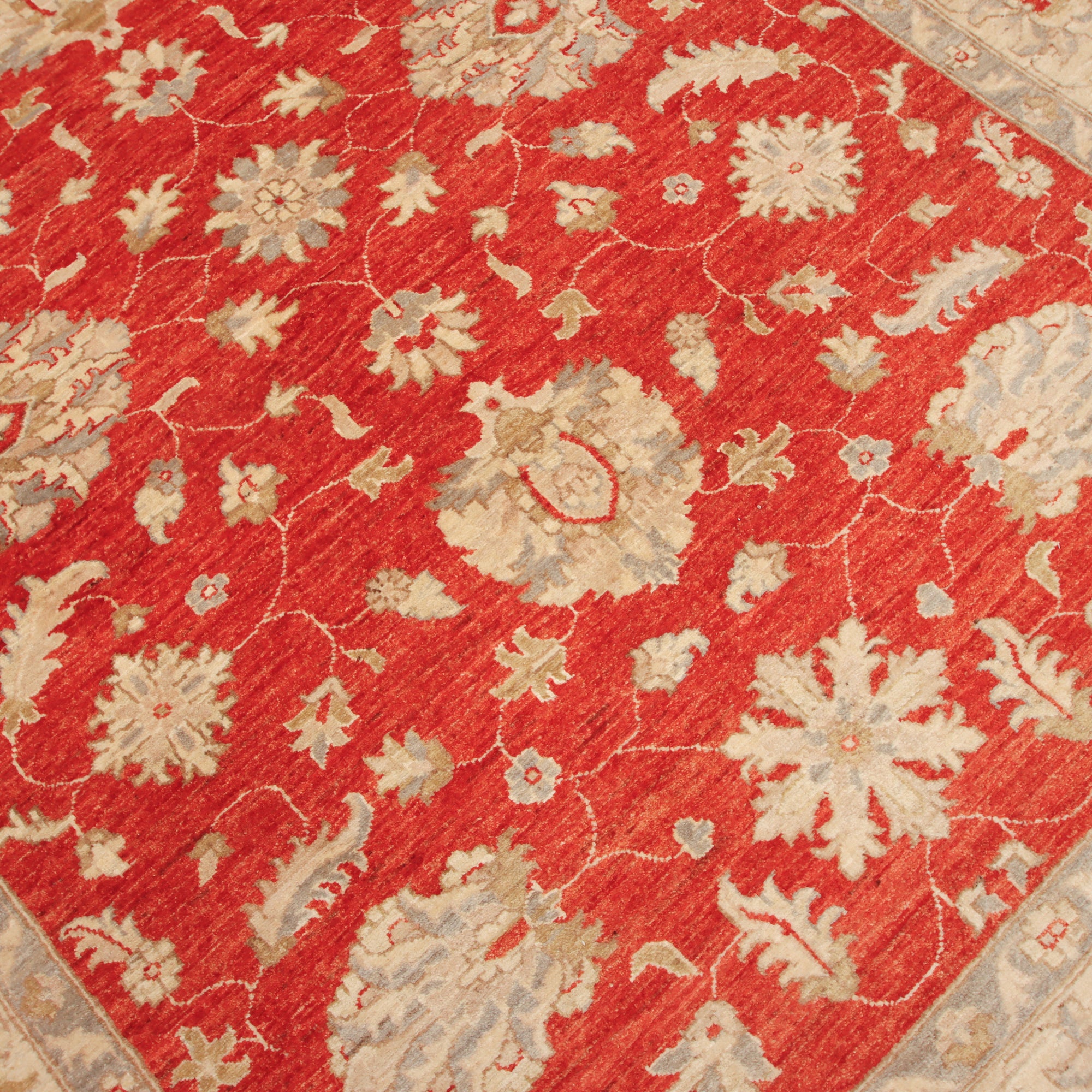 Feraghan Ziegler 287 x 205 cm
