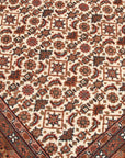 Indo Tabriz Fine 205 x 307 cm
