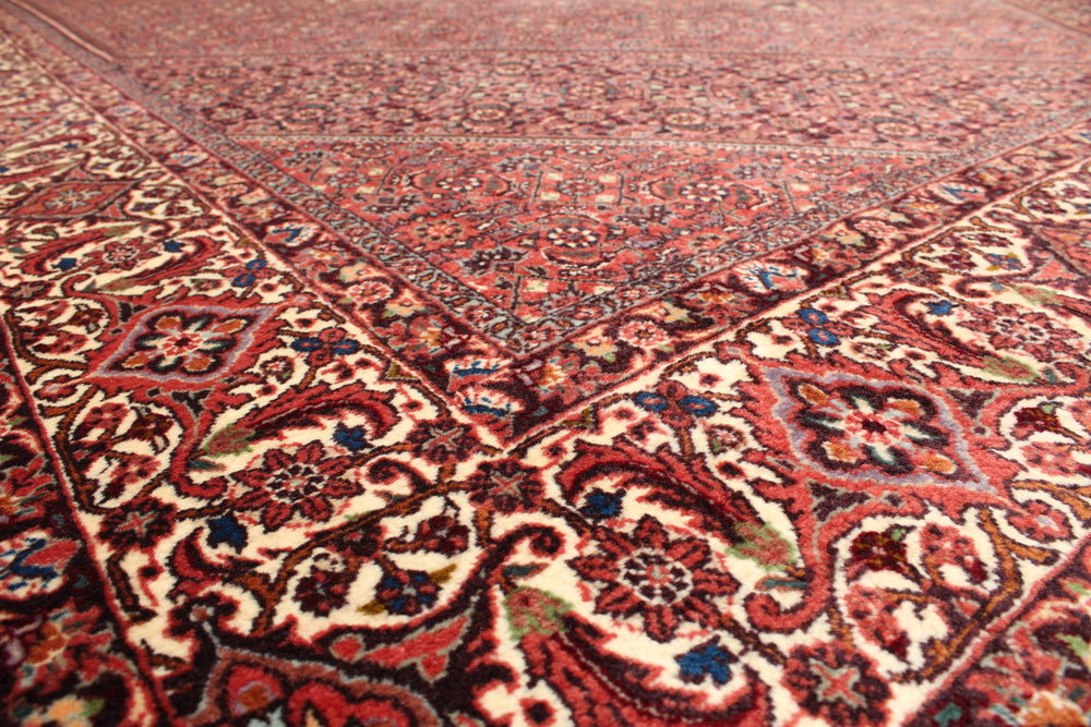 Bidjar 207 x 307 cm – detail